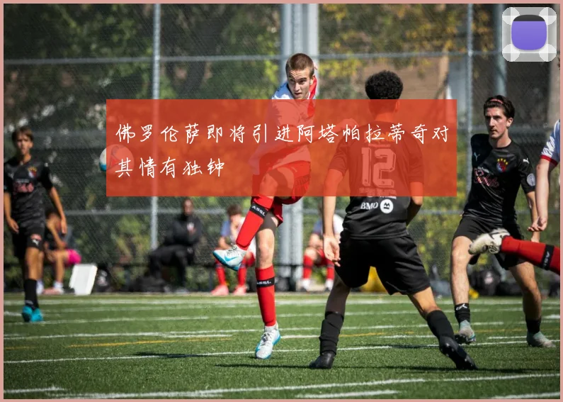 佛罗伦萨即将引进阿塔帕拉蒂奇对其情有独钟